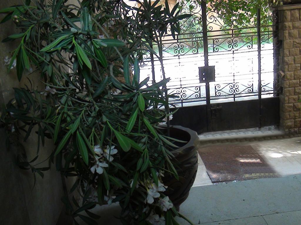Grand Museum Guest House Kafr Abu 'umaydah Dış mekan fotoğraf